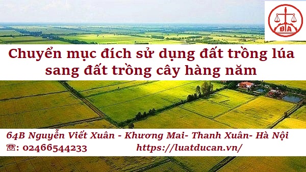 Điều Kiện Chuyển đất Trồng Lúa Sang đất Trồng Cây Hàng Năm 1271